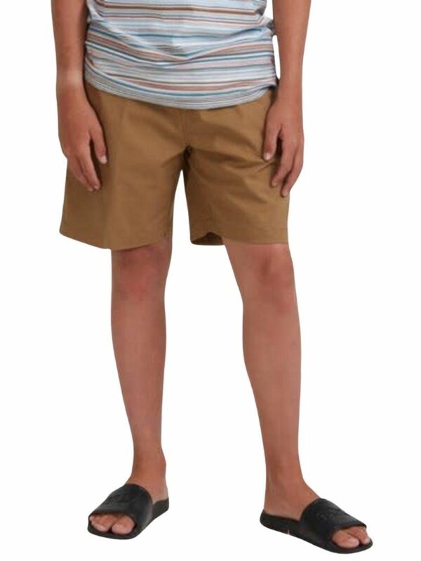 Layback Solid Boys Walkshorts Colour is Clay
