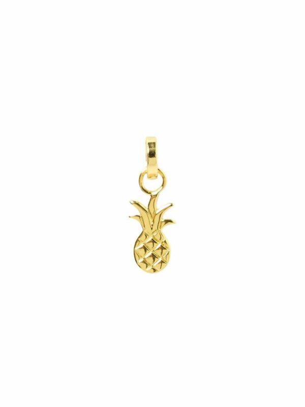 Ananas Charm Womens Fashion Accessories Colour is Gold