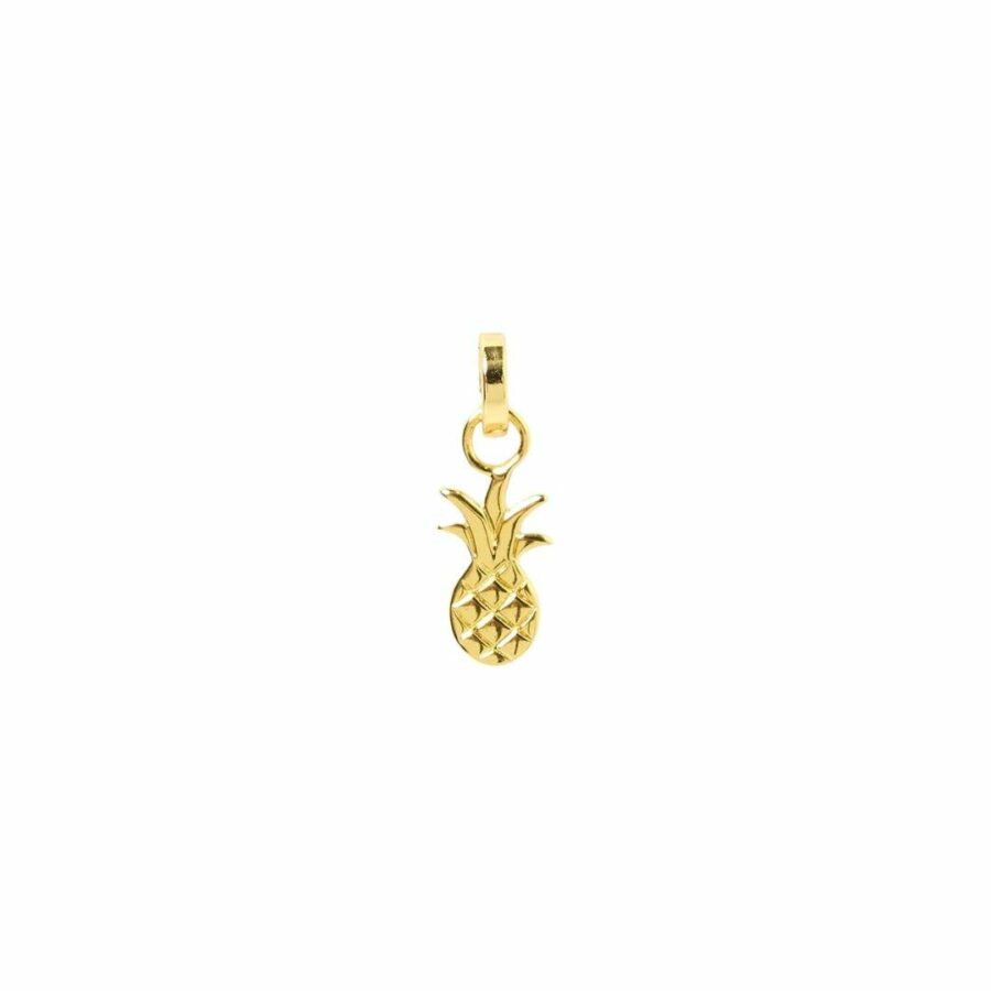 Ananas Charm Womens Fashion Accessories Colour is Gold