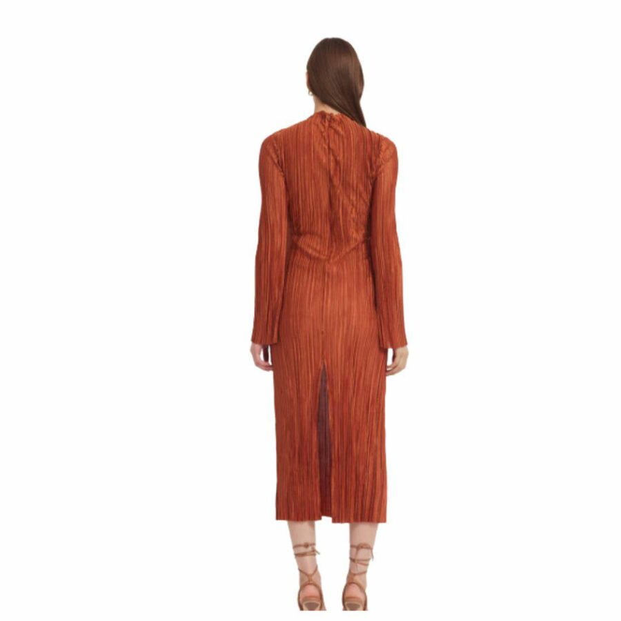 Chante Midi Dress Womens Skirts And Dresses Colour is Rust