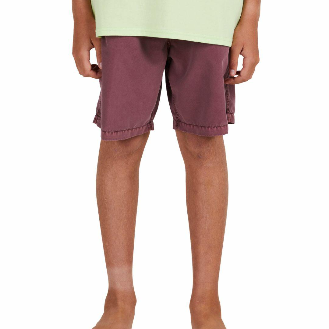 All Day Ovd Layback Boys Boardshorts Colour is Vintage Rose